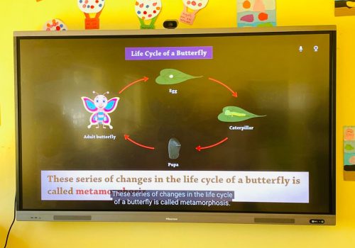 WhatsApp Image 2023-03-29 at 10.09.02 (1)